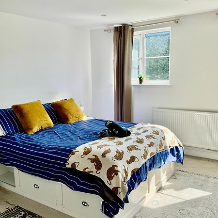 Family Home In Seaside Town Hastings Extérieur photo